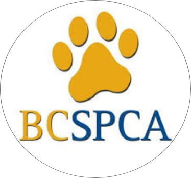 BCSPCA logo round